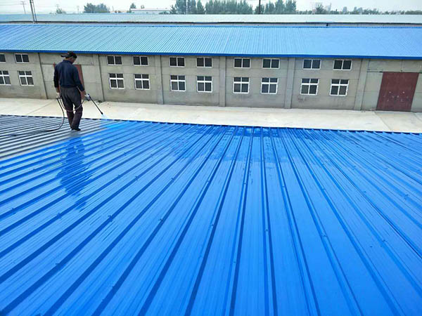 蓝山 彩钢瓦喷漆翻新工业厂房、仓库